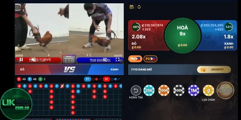 Theo dõi lịch sử thi đấu khi chơi đá gà cựa sắt tại UK88